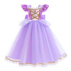 Princess Cosplay Halloween Dress