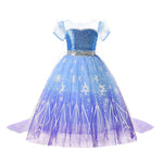 Princess Cosplay Halloween Dress